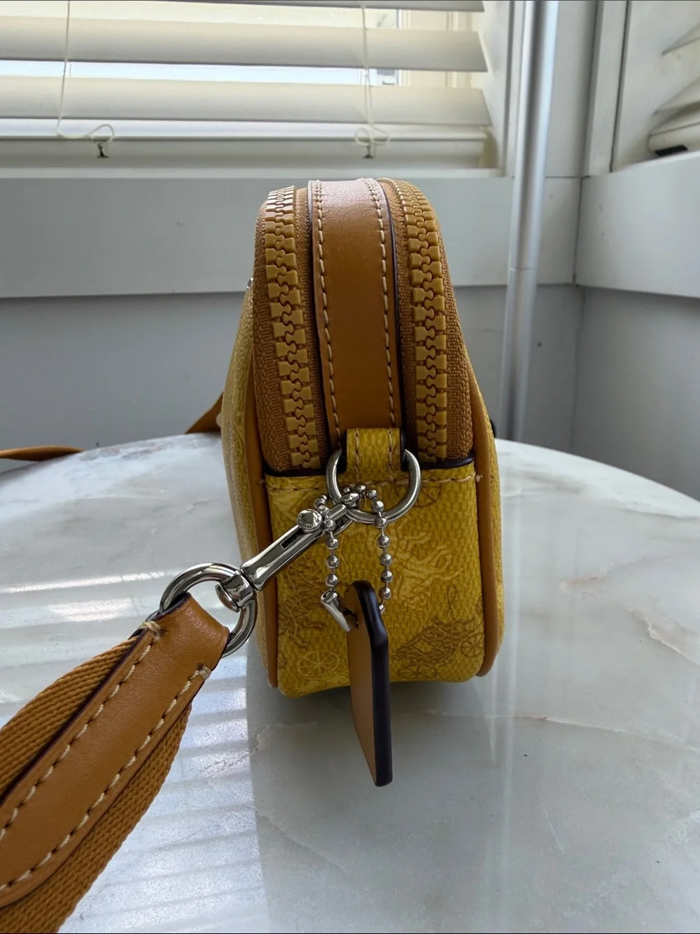 NWT Coach Crossbody Pouch